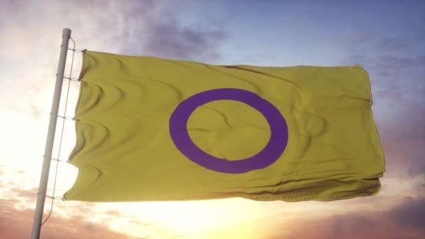 Bandeira do orgulho intersexual acenando no vento, céu e fundo do sol — Vídeo de Stock