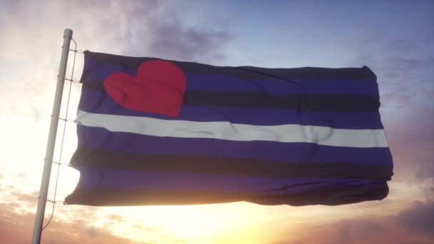 Skórzana flaga dumy lateksowej machająca w tle wiatru, nieba i słońca — Wideo stockowe