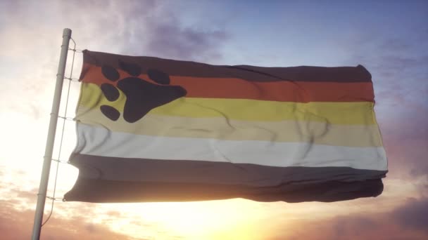 Bear Brotherhood stolthet flagga viftande i vinden, himmel och sol bakgrund — Stockvideo