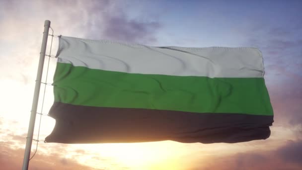 ธงความภาคภูมิใจของนิวโรอิสโบกธงในลมท้องฟ้าและพื้นหลังดวงอาทิตย์ — วีดีโอสต็อก