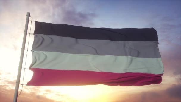 Jinekoloji gurur bayrağı rüzgarda, gökyüzünde ve güneş arka planında dalgalanıyor — Stok video