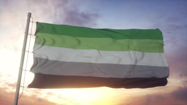 Bandeira de orgulho romântico acenando no vento, céu e fundo do sol — Vídeo de Stock