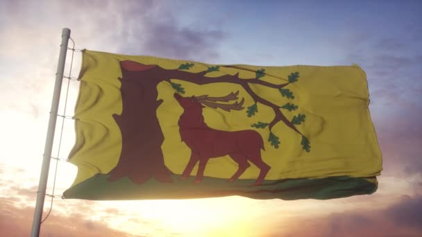 Berkshire Flagge, England, weht im Wind, Himmel und Sonne Hintergrund — Stockvideo