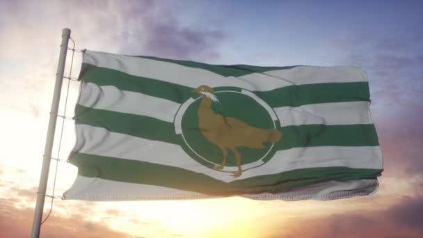 Wiltshire vlag, Engeland, zwaaiend in de wind, hemel en zon achtergrond — Stockvideo