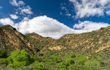 Towsley Canyon Güney Kaliforniya'da, dağlar