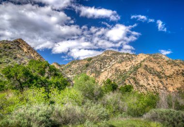 Towsley Canyon Güney Kaliforniya'da, dağlar
