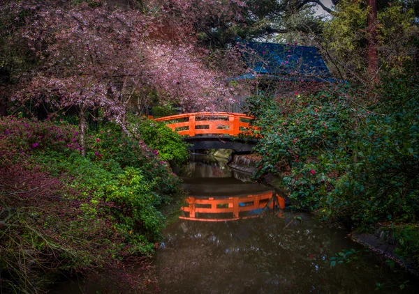 Orangefarbene Brücke über Teich — Stockfoto