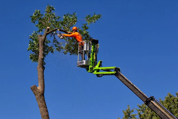 Hudson Usa September 2020 Unidentified Individual Chain Saw Cutting Tree — Stock Photo, Image