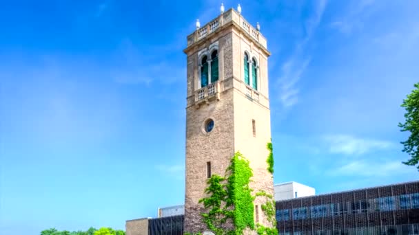 Carillon Kulesi — Stok video