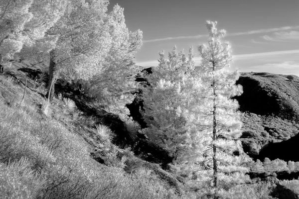 Montanhas San Gabriel em infravermelho preto e branco — Fotografia de Stock