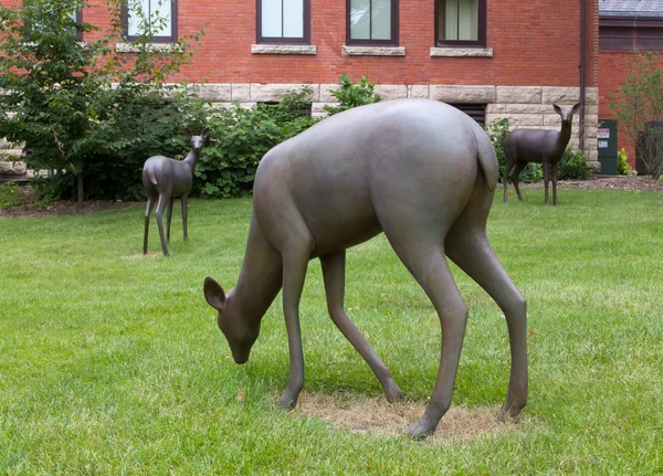 Statue di cervi nel Campus dell'Università Statale dell'Iowa — Foto Stock