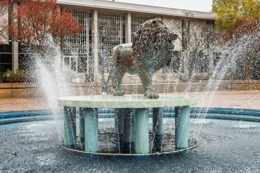 Norfolk, VA, ABD, 28 Ekim 2025: Aslan Çeşmesi ve Eski Dominyon Üniversitesi kampüsündeki Webb Üniversitesi.