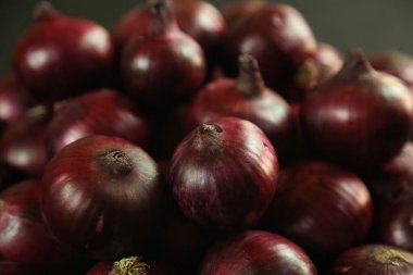 tatlı kırmızı soğanlar arka planda