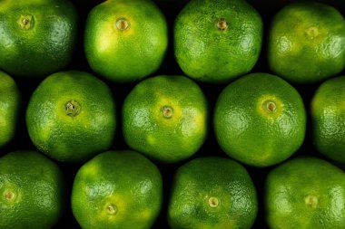 Arka planda yetişen yeşil tatlı mandalinalar