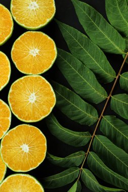 Taze organik yeşil kireç meyveleri