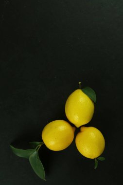 Yapraklı limon grubu, arka planda izole