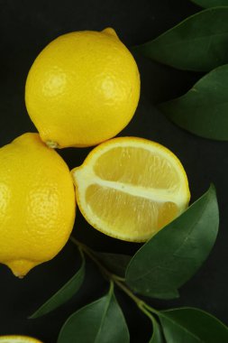 Yapraklı limon grubu, arka planda izole