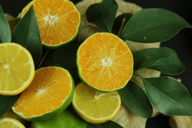 Yapraklı limon grubu, arka planda izole