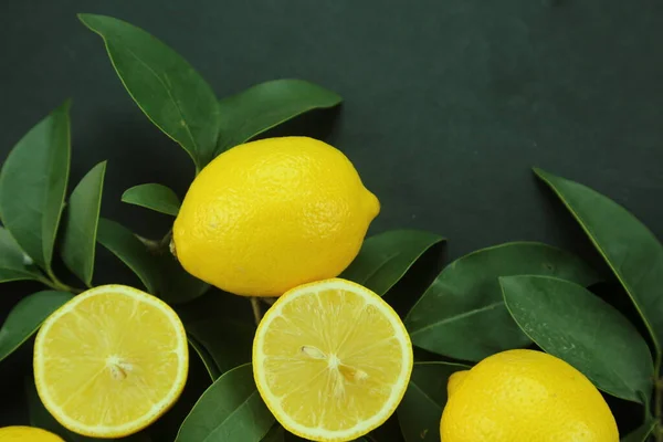 Yapraklı limon grubu, arka planda izole