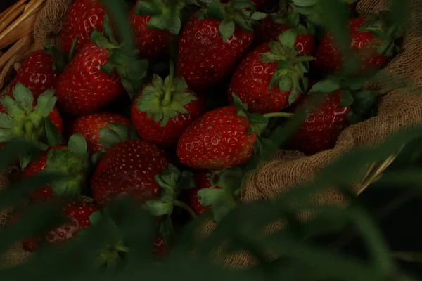 Sağlıklı çilek. Uzayı kopyala Yüksek çözünürlüklü ürün.