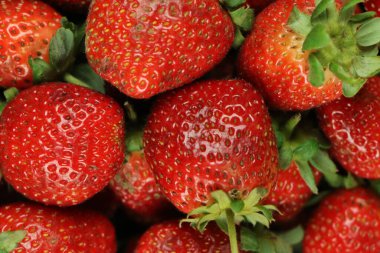 Sağlıklı çilek. Uzayı kopyala Yüksek çözünürlüklü ürün.