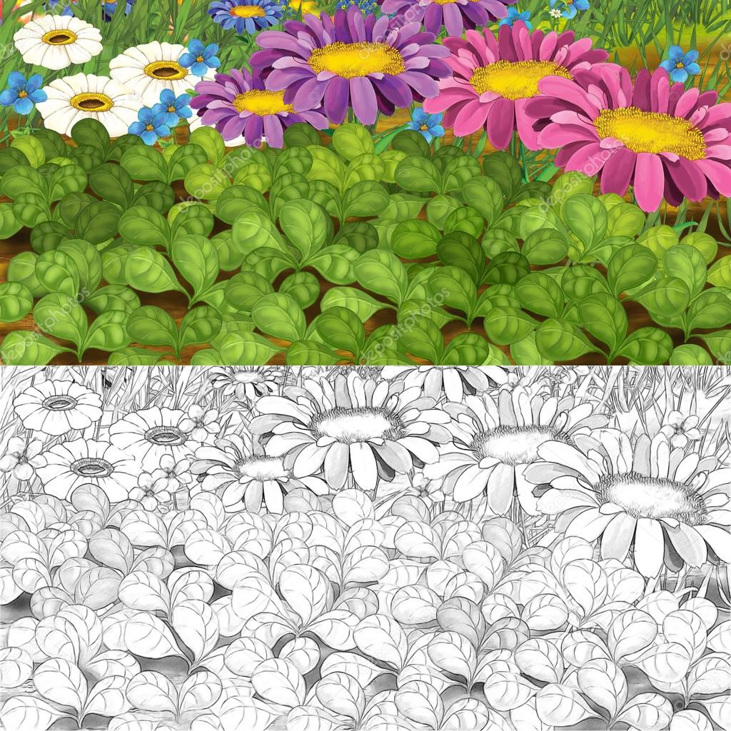 illustrator_hft