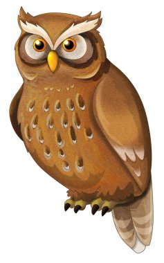 İzole - karikatür hayvan - baykuş - illüstrasyon çocuklar için