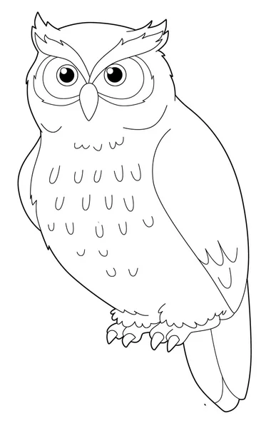 Dessin animé animal - hibou - isolé - coloriage — Photo