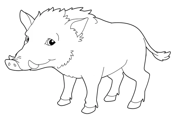 Cartoon animal - boar - isolated - coloring page — Stock Photo, Image