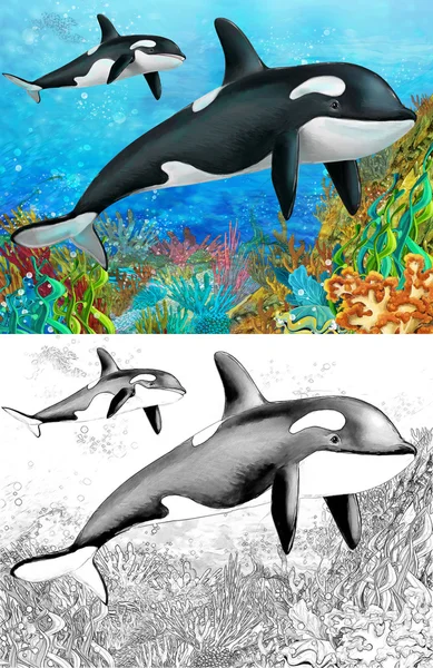 Sayfa - illüstrasyon çocuklar için boyama ile mercan kayalığı - katil balina- — Stok fotoğraf
