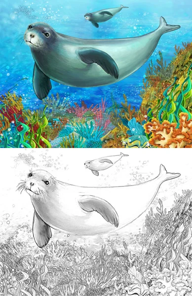 Cartoon scene of a coral reef with swimming seal - with coloring page — Stock Photo, Image