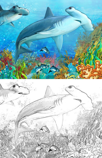 The coral reef - swimming shark - illustration for the children