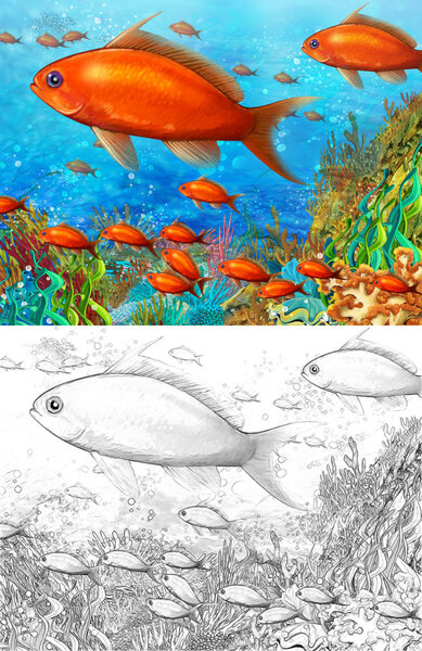 The coral reef - small colorful coral fishes - with coloring page