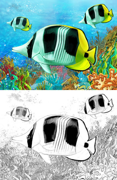 The coral reef - small colorful coral fishes - with coloring page