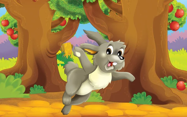 Cartoon gård scen med djur - kanin - illustration för barn — Stockfoto