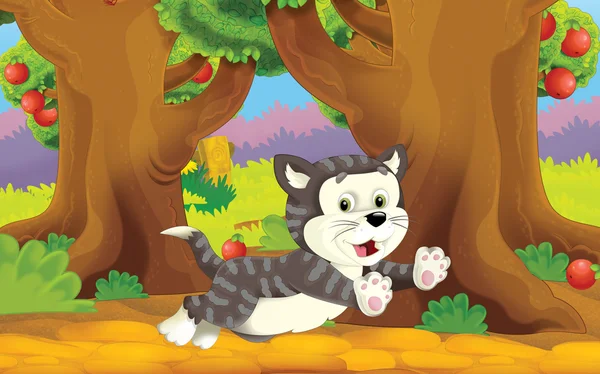 Cartoon farm scene con animali - gatto - illustrazione per bambini — Foto Stock