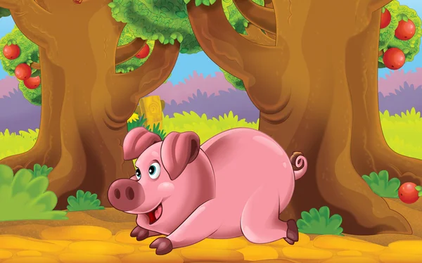 Cartoon farm scene with animal - pig - illustration for children — Stock Photo, Image