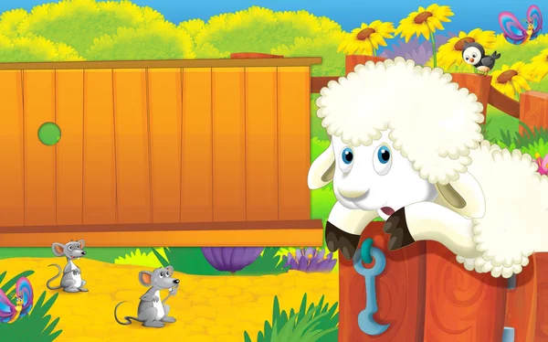 White sheep and mouses at farm — Stock Photo, Image