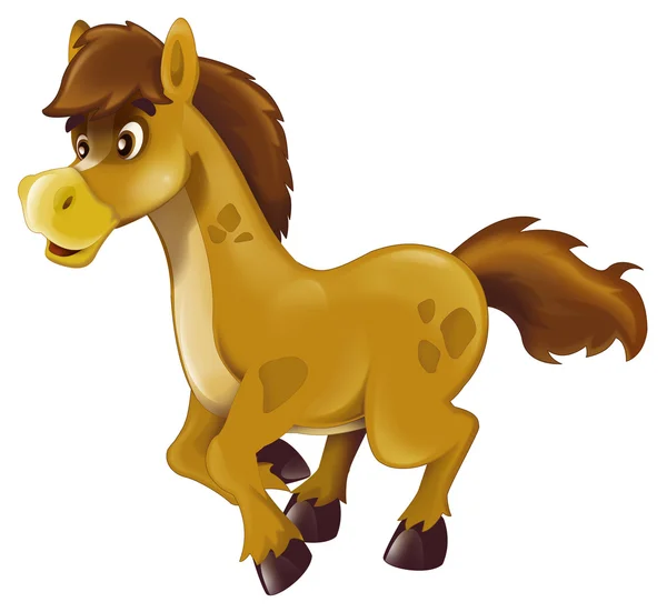 Cute horse cartoon — Stock Photo, Image