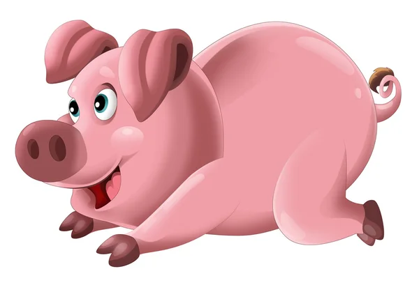 Tecknad rolig ung gris i aktion — Stockfoto