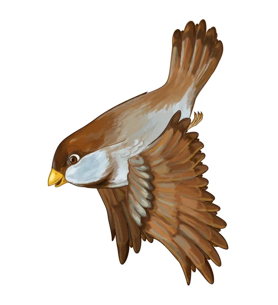 Kreslený pták - vrabec, létání — Stock fotografie