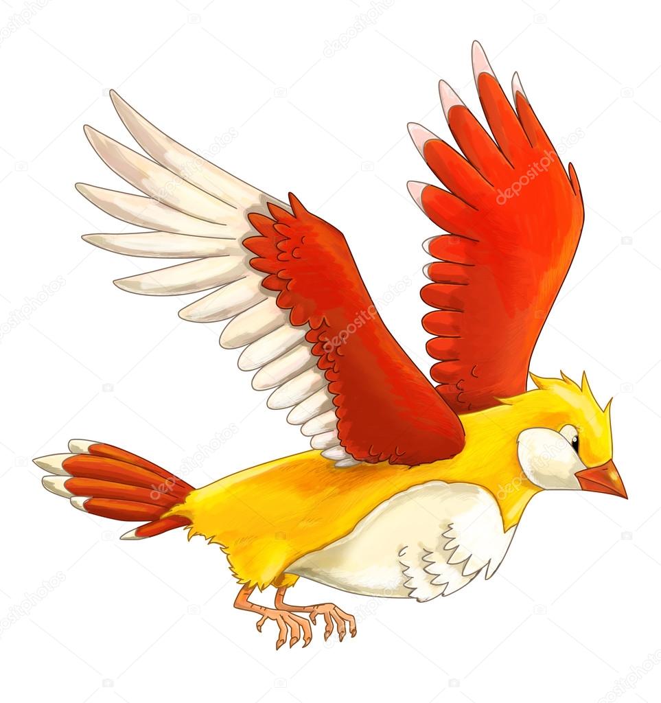 Dessin animé oiseau exotique coloré - vol — Illustration de stock par  ©illustrator_hft - 117974754, image size:963x1024