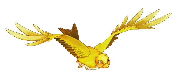 Cartone animato esotico uccello colorato - volare — Foto Stock