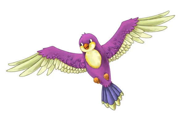 Cartoon exotic colorful bird - flying — Stock Photo, Image