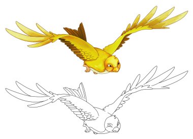 Uçan çizgi film egzotik renkli kuş- 