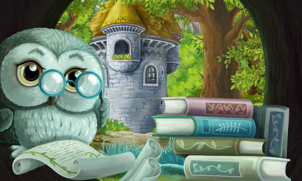 cartoon scene with owl in the tree hole in the forest reading book - illustration for children