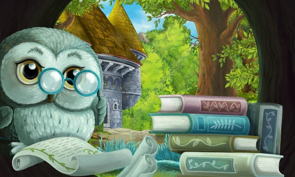 cartoon scene with owl in the tree hole in the forest reading book - illustration for children