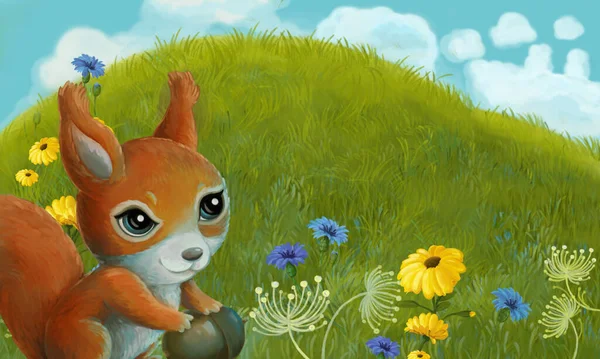 cartoon scene with animal rodent squirrel owl on the meadow - illustration for children