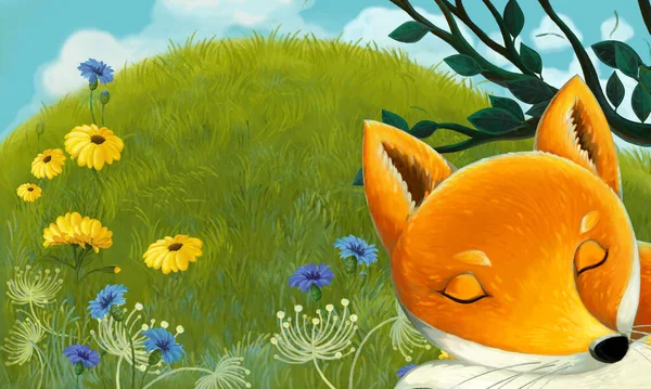 cartoon scene with animal fox on the meadow - illustration for children