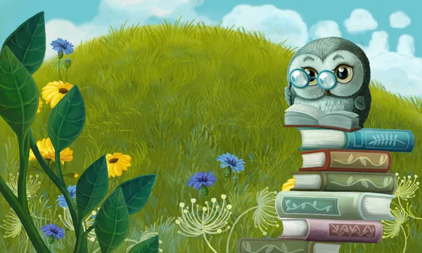 草地上动物鸟猫头鹰的卡通片 儿童图解 — 图库照片